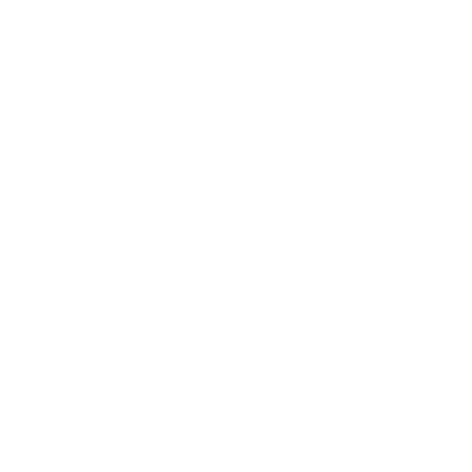 icon-fast