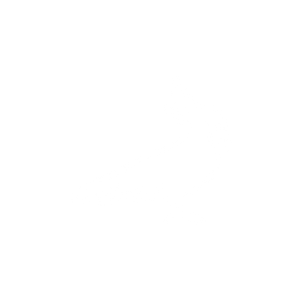 2 Parrot Icon.